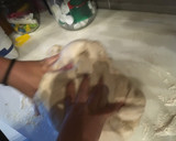 Foto del paso 7 de la receta: Pan casero de Cantalojas