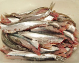 Foto del paso 1 de la receta: Anchoas fritas