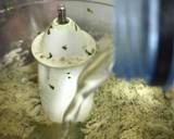 Methi Thepla recipe step 3 photo