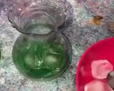 Mint lemonadematakin girki6 hoto