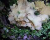 Methi Aloo Stuffed Paratha recipe step 1 photo