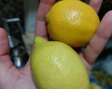 Foto del paso 3 de la receta: Budín de Ricotta y limón