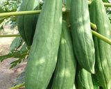 รูปขั้นตอนการทำที่ 1 ของ ส้มตำไทยปูเค็ม (สูตรมีสาระ) #ทำขายรวย