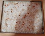 A picture of step 5 of Coconut burfi.