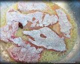 Foto del passaggio 2 della ricetta Petto di Pollo alle Pere Ricetta Emiliana