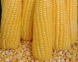 Foto langkah ke 1 dari resep Jasuke (Jagung Susu Keju).