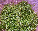 Foto langkah ke 1 dari resep Peyek Kacang Hijau / Tumpi.