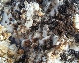 Foto del paso 5 de la receta: Torta vegana de chía, harina de arroz y avena