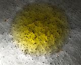 A picture of step 2 of Capsicum halwa.