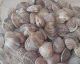 Foto del paso 1 de la receta Lubina en salsa con almejas