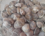 Foto del paso 1 de la receta: Lubina en salsa con almejas