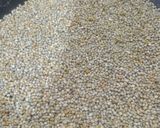 A picture of step 1 of Foxtail millet Bhaidku.