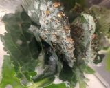 Foto del paso 1 de la receta: Licuado verde salado de Kéfir