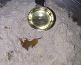 Beetroot Spicy Paratha recipe step 2 photo
