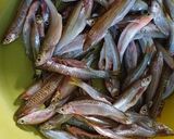 Foto langkah ke 1 dari resep Ikan Seluang Betuup.