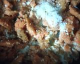 A picture of step 5 of Masoordal Modak.