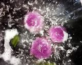 Foto langkah ke 8 dari resep Klepon Ubi Ungu aroma Pandan.
