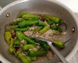 A picture of step 4 of Hyderabadi Mircho ka salan.