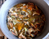 Foto del paso 4 de la receta: Hongos deliciosos o "cobre" en escabeche. #delantaldorado