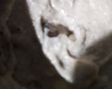 A picture of step 1 of Whole-wheat Banana Bread.