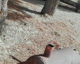 Foto del paso 4 de la receta: Asadito de cerdo y vaca