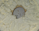 Foto del paso 6 de la receta: Roscón de reyes