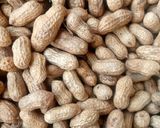 A picture of step 1 of Roasted groundnut.