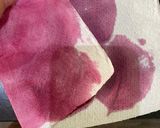 Foto del paso 2 de la receta: Mini tacos de betabel con ricotta y nuez