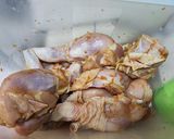 Foto langkah ke 1 dari resep Ayam Kecap Pedas.