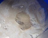 Foto del paso 2 de la receta: Rosca o roscón de reyes !