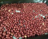 Hình bước làm 2 của món Rang Lạc Giòn, Bùi Bằng Lò Nướng
