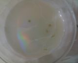 Foto del paso 8 de la receta: Carne de res en salsa de bugambilia