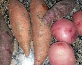 Foto del paso 2 de la receta: Guiso de lentejas 💪😊