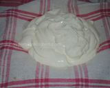 A picture of step 2 of My yogurt balls.