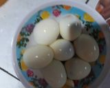 Foto langkah ke 1 dari resep Opor telur ayam 😁.