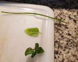 Foto del paso 1 de la receta: Dip de kéfir con hierbas aromáticas
