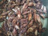 Cumi asin sambal pete makyus