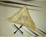A picture of step 4 of Samosa and spring rolls.