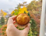 Hình bước làm 2 của món Cupcake 🧁