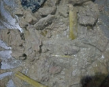 Foto langkah ke 5 dari resep Empal Gepuk Gurih (Tidak Manis).