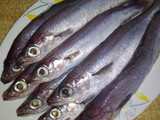 Μπακαλιαράκια!🐟 Προσφυγάκια!🐟