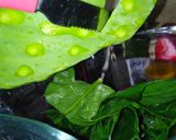 A picture of step 4 of Flour Tortillas with Nopal and Spinach.