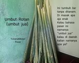 Foto langkah ke 1 dari resep Oseng Umbut Jua Bawang Pruruk.