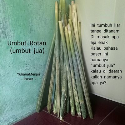 Langkah 1