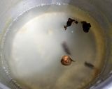 Foto langkah ke 3 dari resep Sop Wortel Kentang Baso Simple.