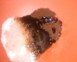 A picture of step 2 of Vanilla Coffee Paste.