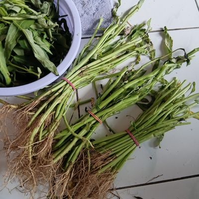 Langkah 1