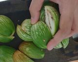 Foto langkah ke 2 dari resep Oseng terong teri.
