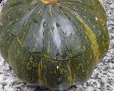 Foto del paso 1 de la receta: Zapallo relleno especial