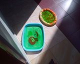 Foto langkah ke 1 dari resep Jelly candy ceff Bunda Ria.